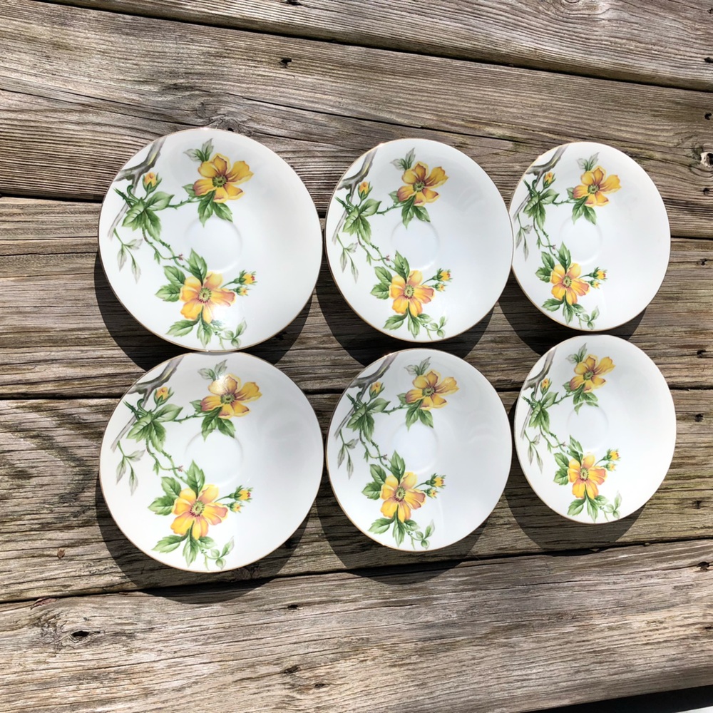 6 MEITO NORLEANS Saucer Plates / Sun Glory Design Occupied Japan / Teacup Plates